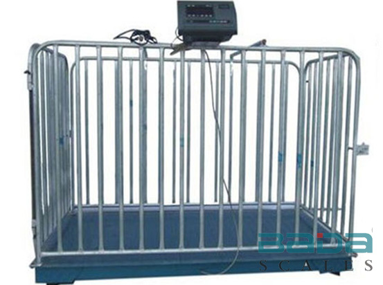 琼海靠谱的便携式地磅设计