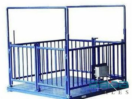 琼海靠谱的便携式地磅设计