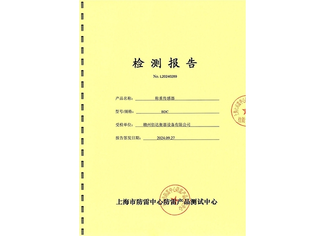 称重传感器防雷检测报告